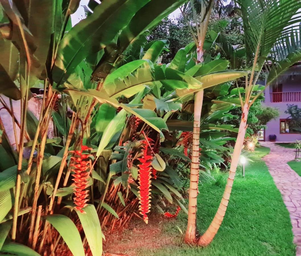 Pousada Recanto Paraty Bagian luar foto
